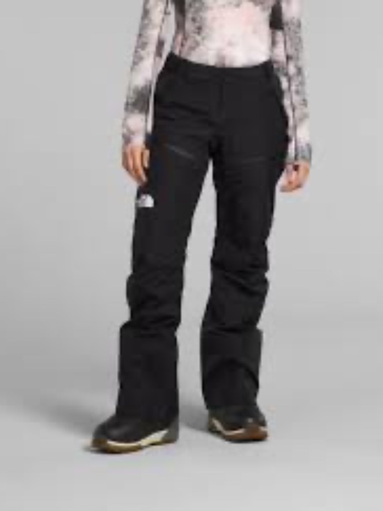 The North Face Pants - The North Face M HyVent Winter Ski Pants